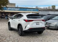 Lexus NX250