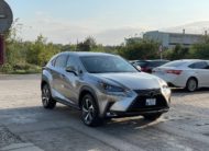 Lexus NX300