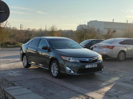 Главная 12 photo 2024 11 20 13 54 48