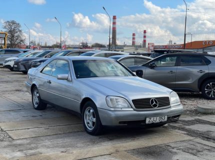 Главная 10 photo 2025 11 13 17 25 08