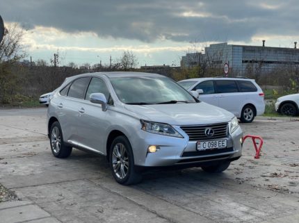 Главная 8 photo 2025 11 13 18 12 52