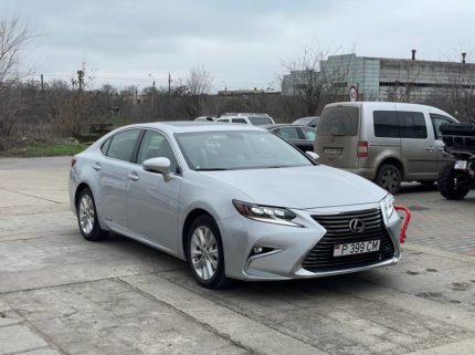 Главная 9 photo 2025 12 10 15 14 12