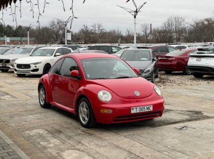 Главная 10 photo 2025 12 16 15 23 13