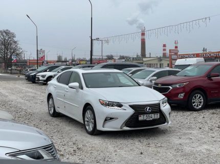 Главная 9 photo 2026 02 04 17 36 58