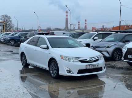 Главная 10 photo 2026 02 13 15 32 07