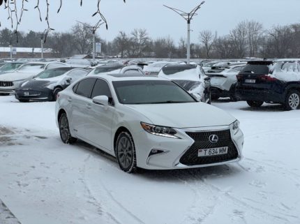 Главная 9 photo 2026 02 18 13 16 27