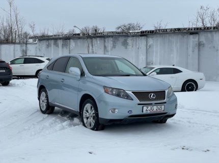 Главная 11 photo 2026 02 20 14 03 40