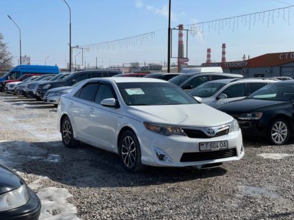 Главная 8 photo 2026 03 01 15 13 30