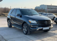 Mercedes Benz ML250