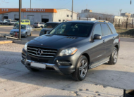 Mercedes Benz ML250