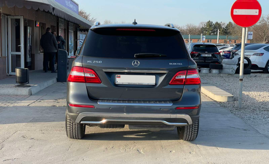 Mercedes Benz ML250