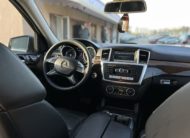 Mercedes Benz ML250