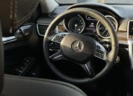 Mercedes Benz ML250