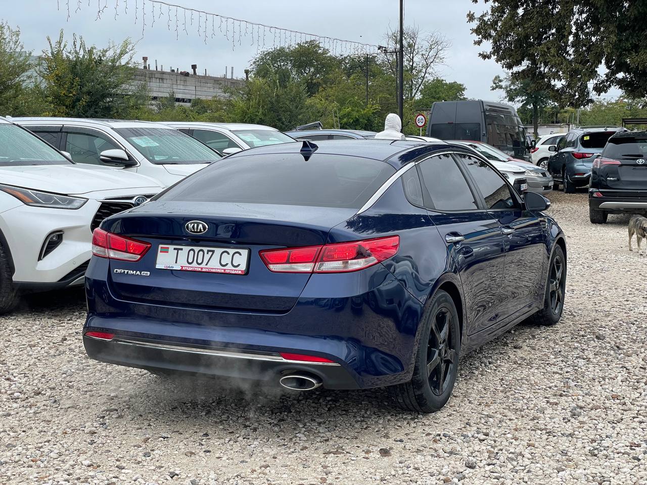 Kia Optima