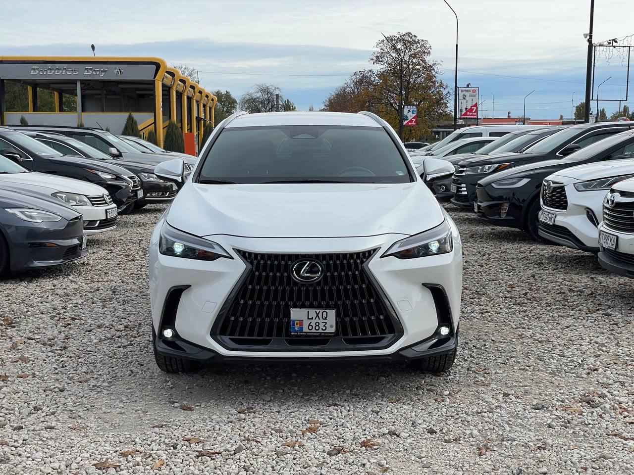 Lexus NX250