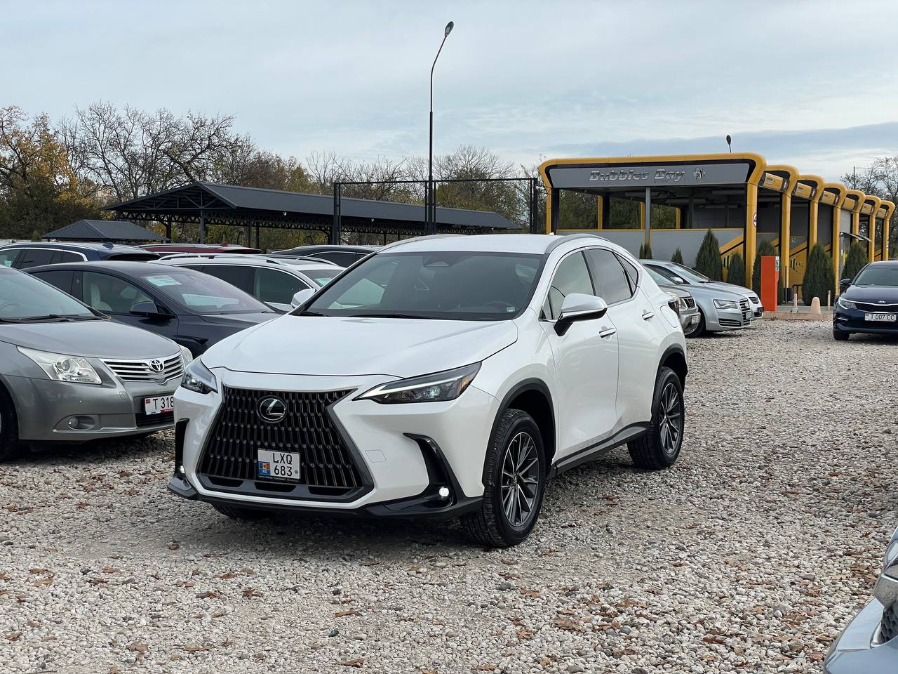 Lexus NX250