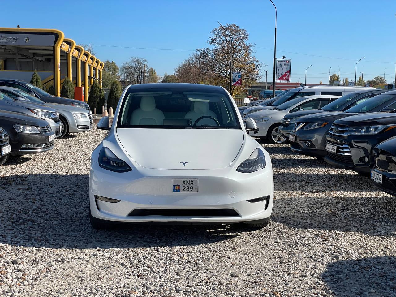 Tesla Model Y Performance