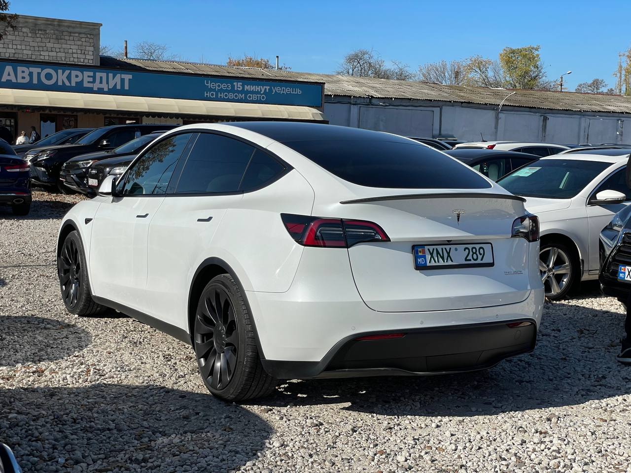 Tesla Model Y Performance