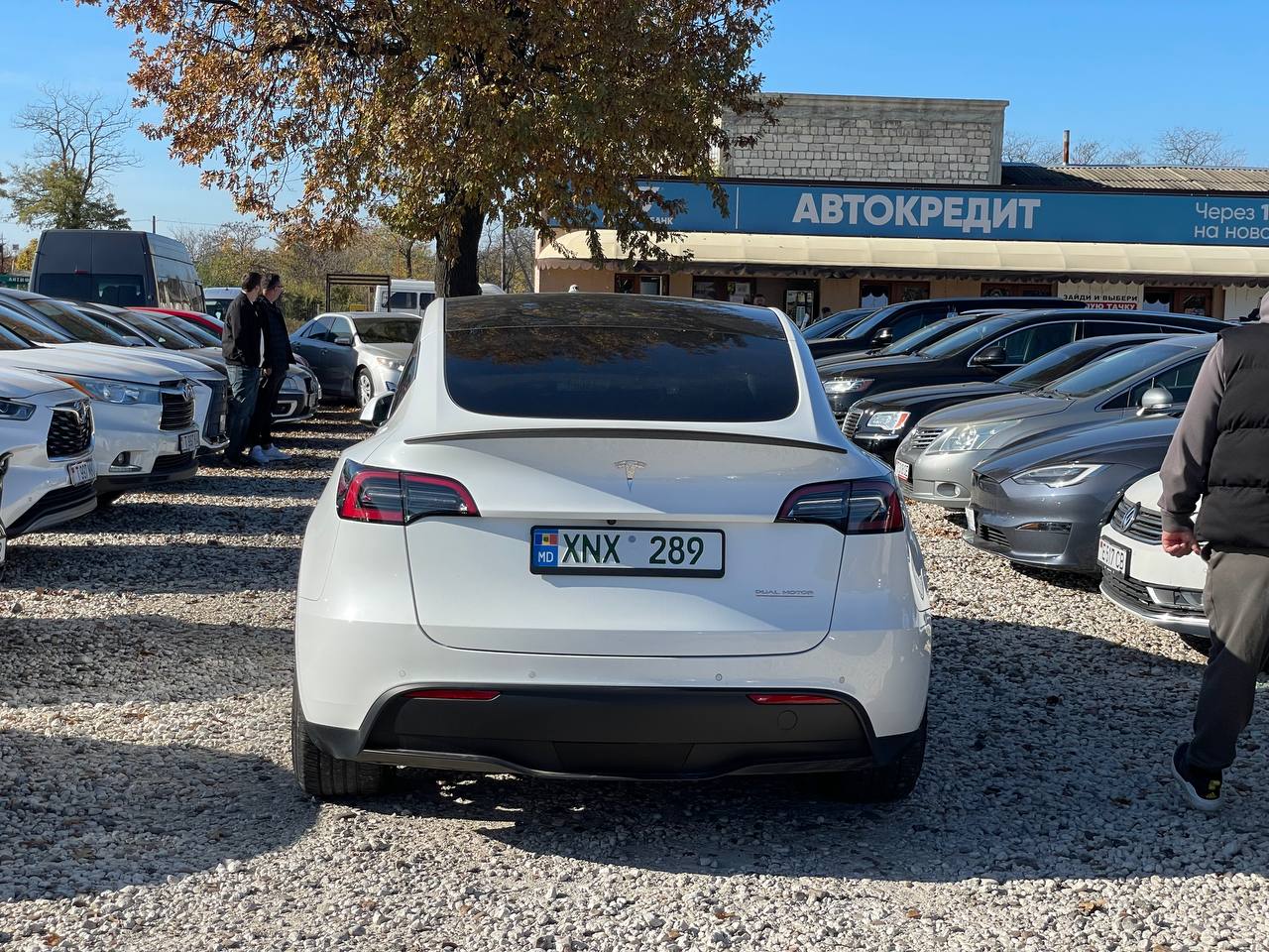 Tesla Model Y Performance