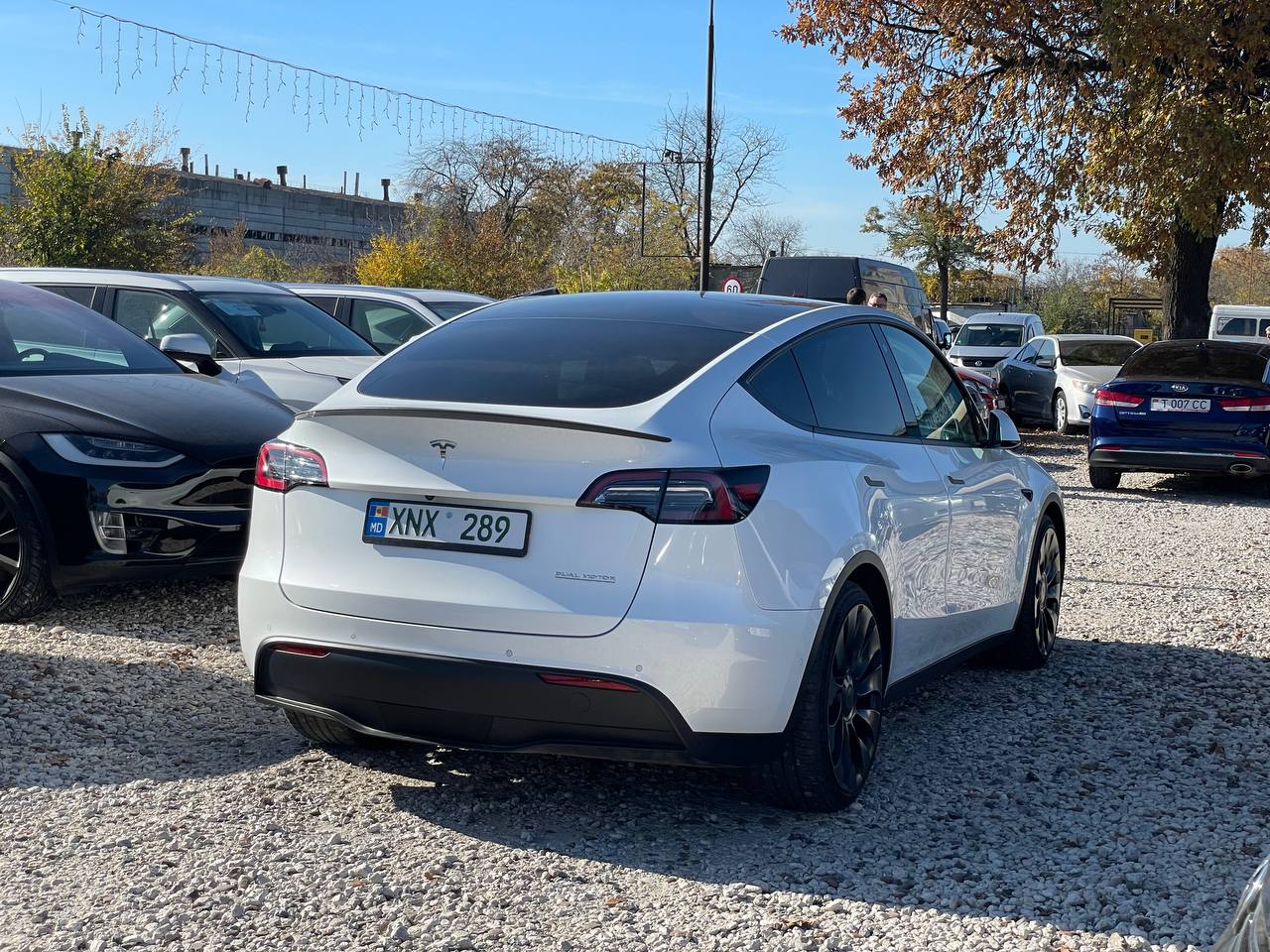 Tesla Model Y Performance