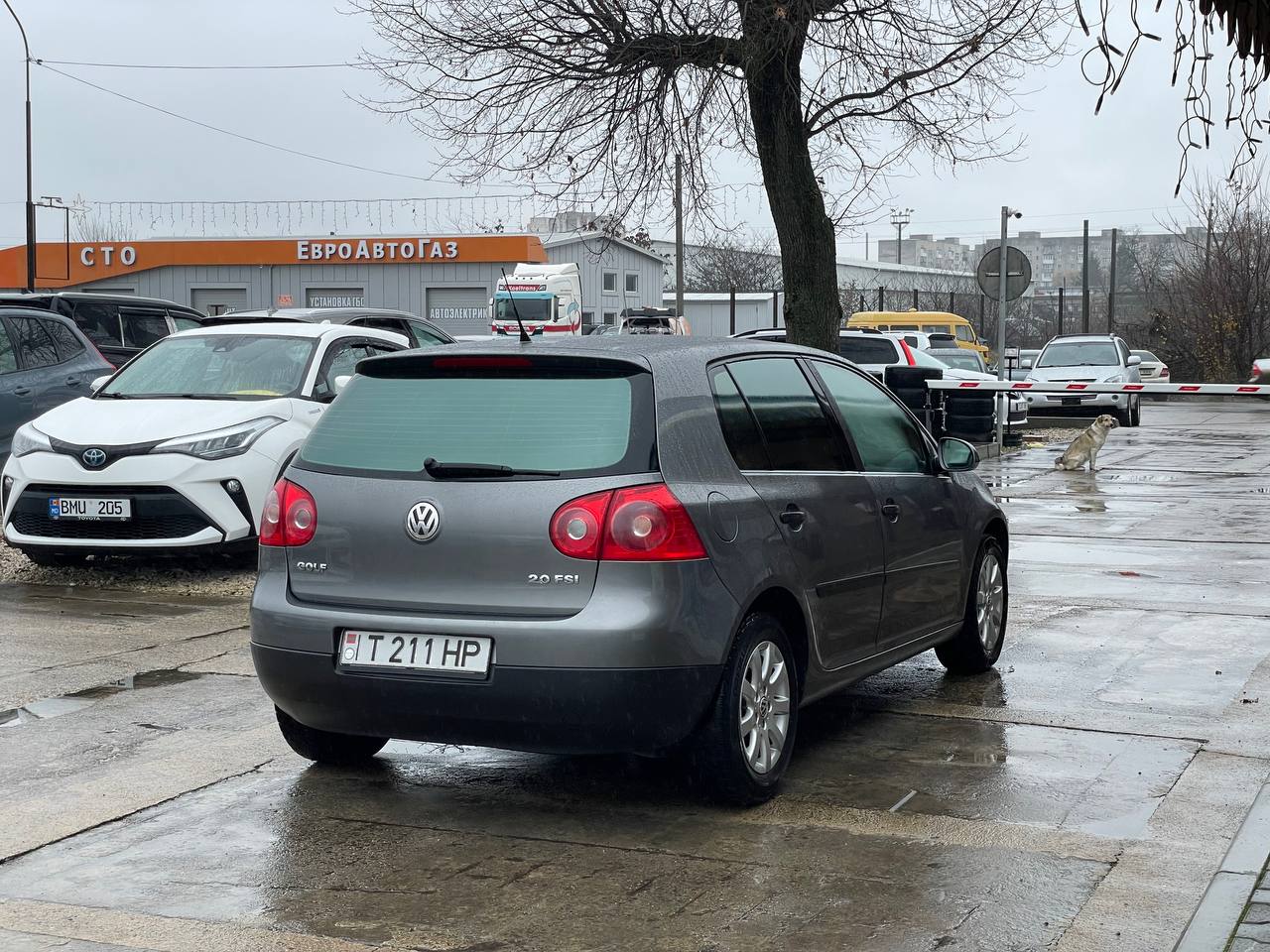 Volkswagen Golf 5