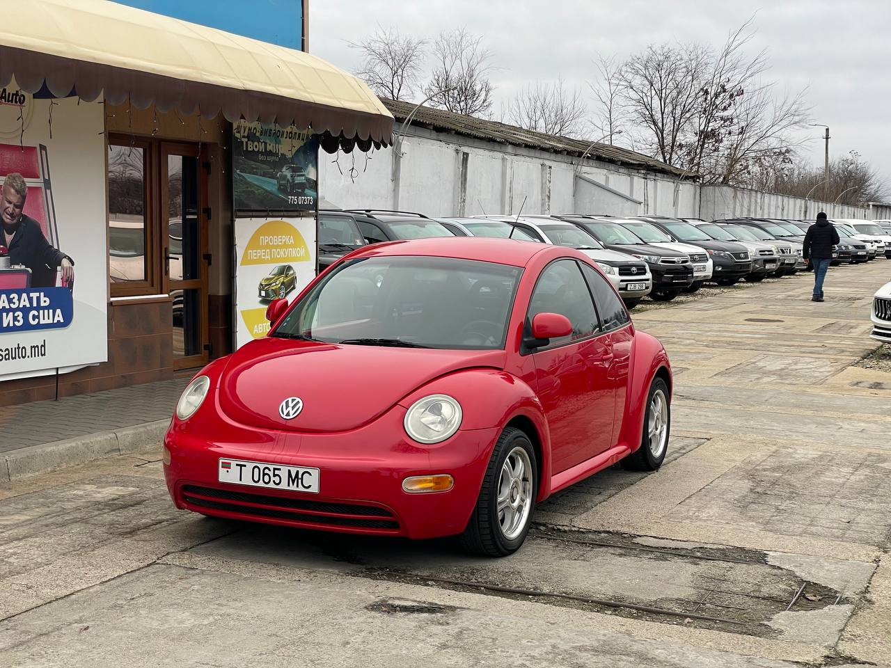 Volkswagen Beetle