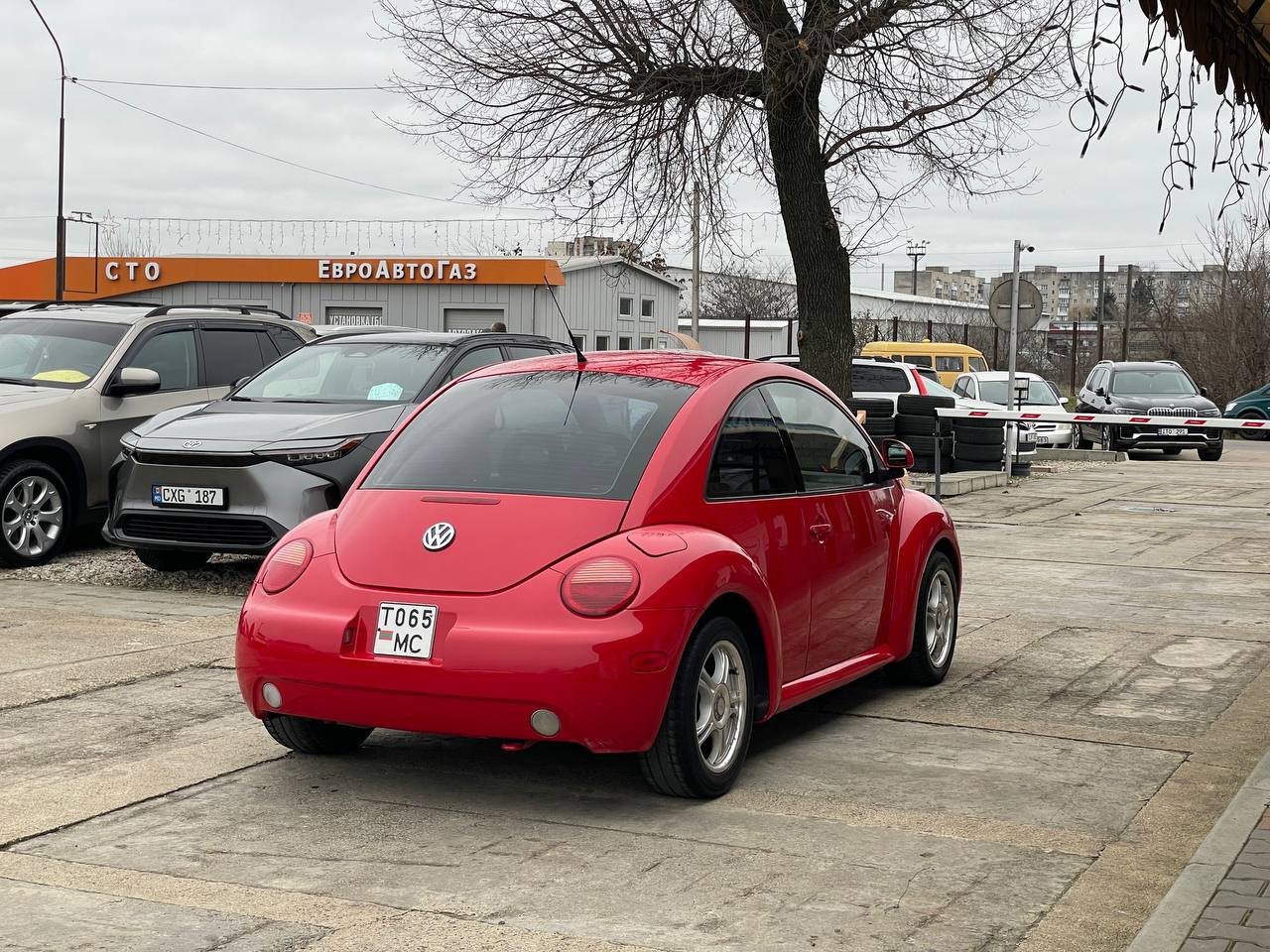 Volkswagen Beetle