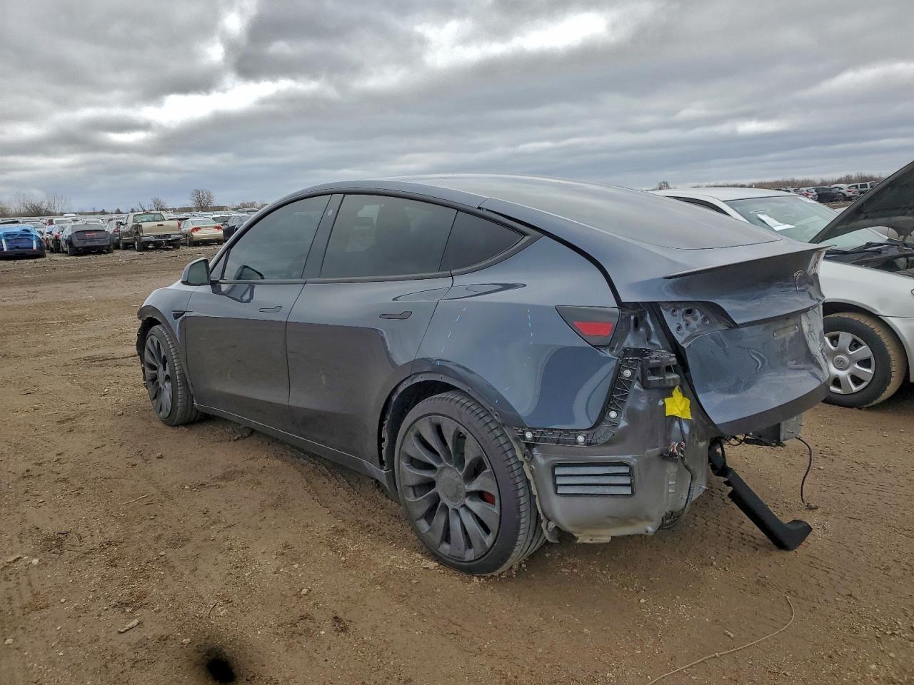 Tesla Model Y Performance