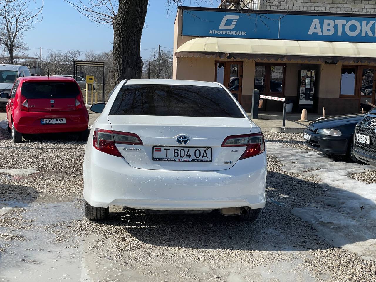 Toyota Camry 50 Hybrid